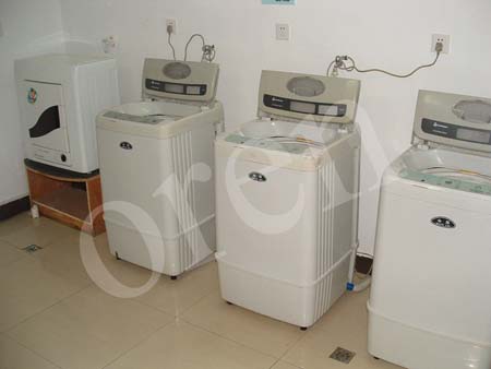 Picture 132 copy