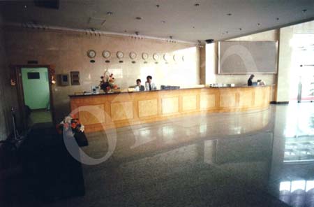 SISU9 copy