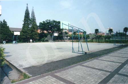 SNU40001 copy