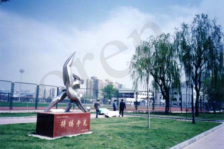 jingmao copy