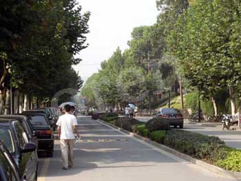 zheda (3)